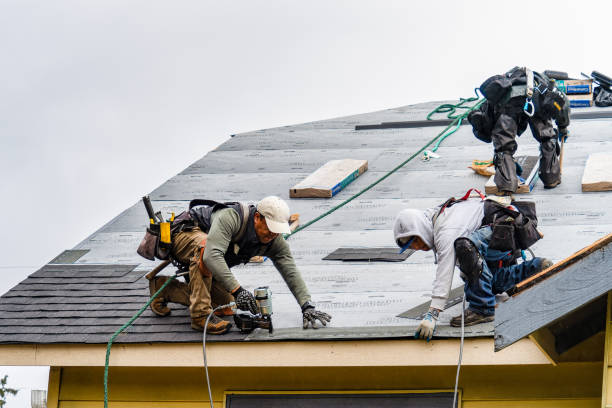 Professional Flat Roof Repair technician working in Hadensville, VA